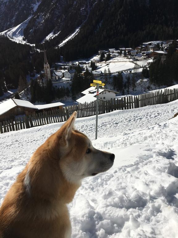 Pension Alpenrose Sankt Sigmund im Sellrain Kültér fotó