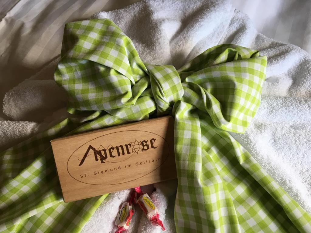 Pension Alpenrose Sankt Sigmund im Sellrain Kültér fotó